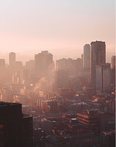 Public Health <br/> & Policy